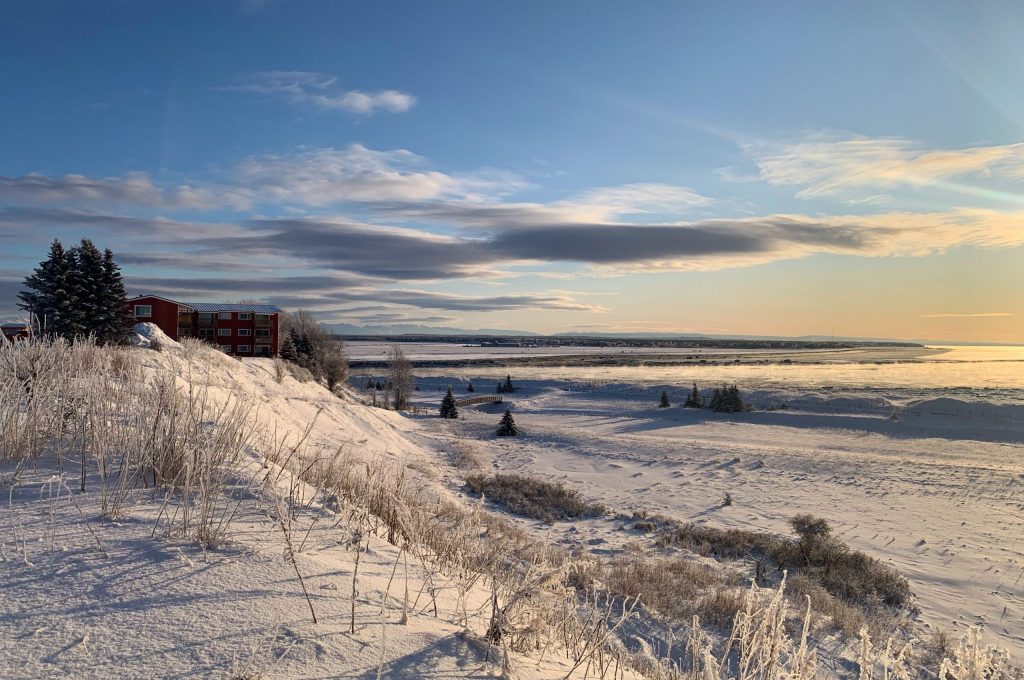 Kenai Beach in Winter